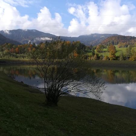 Appartamento Haus Schneider Andelsbuch Esterno foto